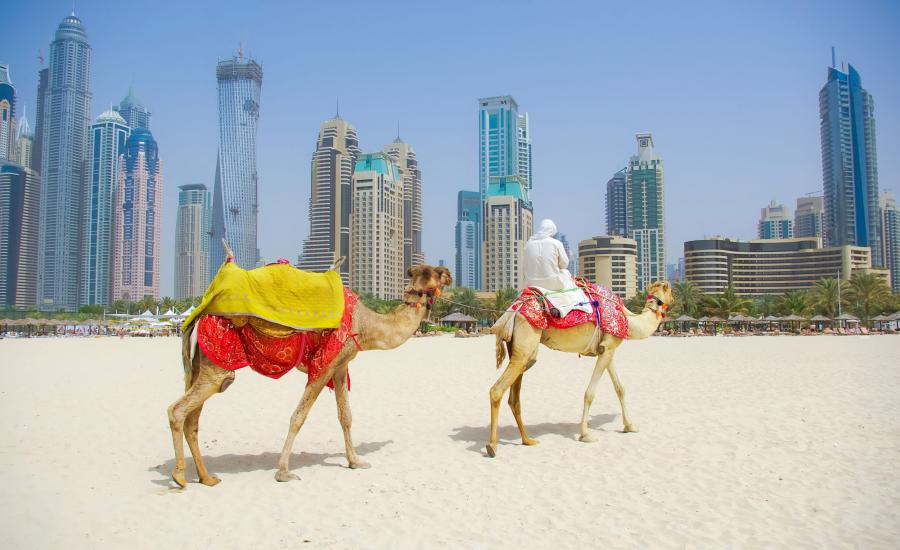 السياحة في دبي 