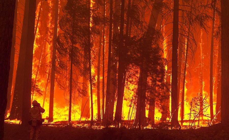 حريق غابات في أميركا 