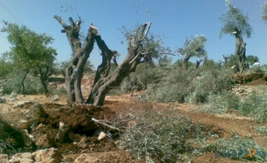 مستوطنون