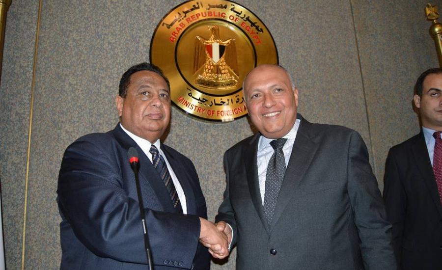 شكري ووزير الخارجية المصري 