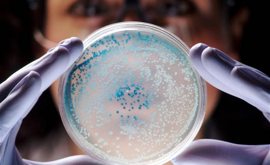 اكتشاف اقدم بكتيرياء على وجه الارض 