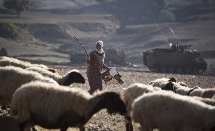 قوات الاحتلال تصادر مئات الدونمات في وادي المالح بالاغوار 