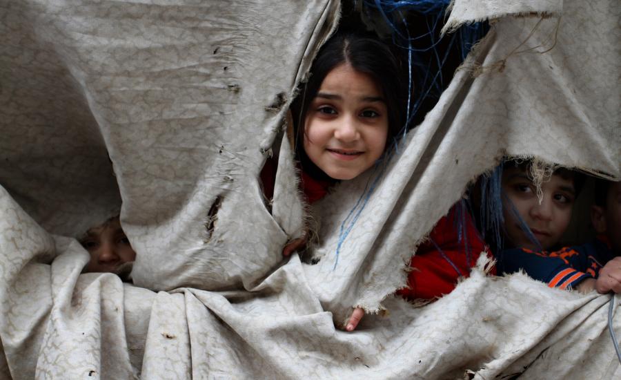 "الأونروا" توزع 896 خروفا على 2,688 عائلة لاجئة في غزة