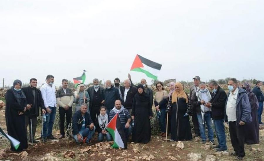 الشتل.JPG