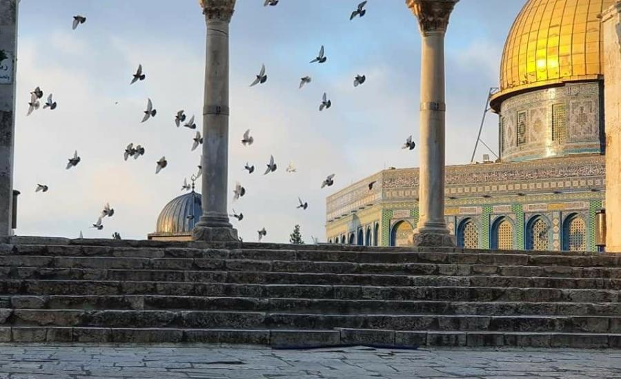 الاوقاف والصلاة في المسجد الاقصى