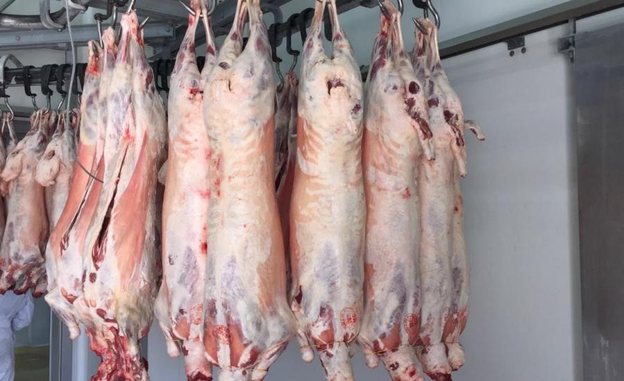 تجار اللحوم وارتفاع اسعارها في الاسواق