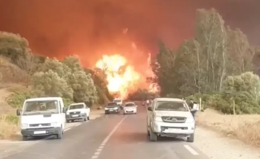 الحرائق في الجزائر