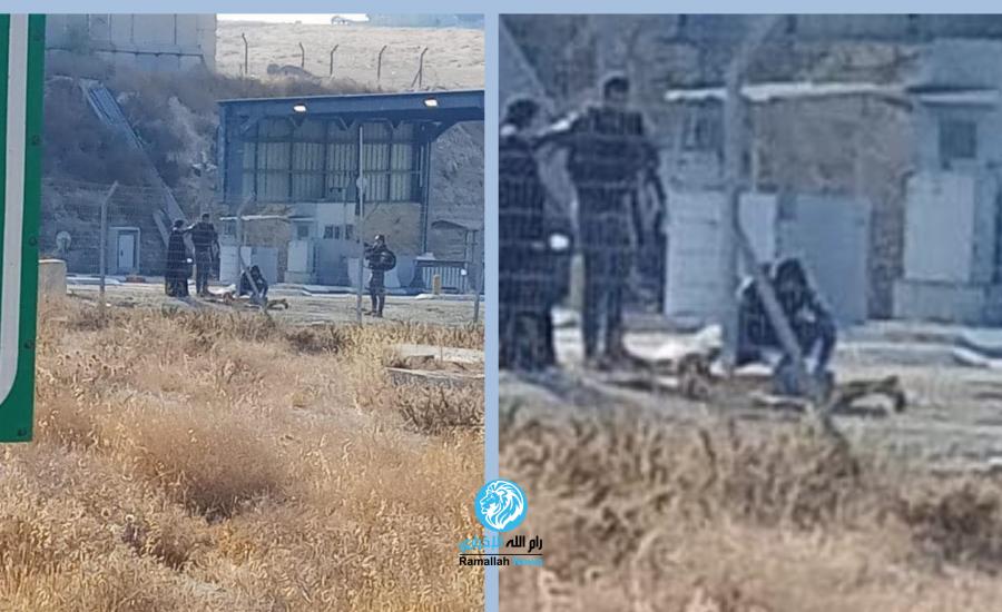 اصابة شاب برصاص الاحتلال على حاجز الكونتينر