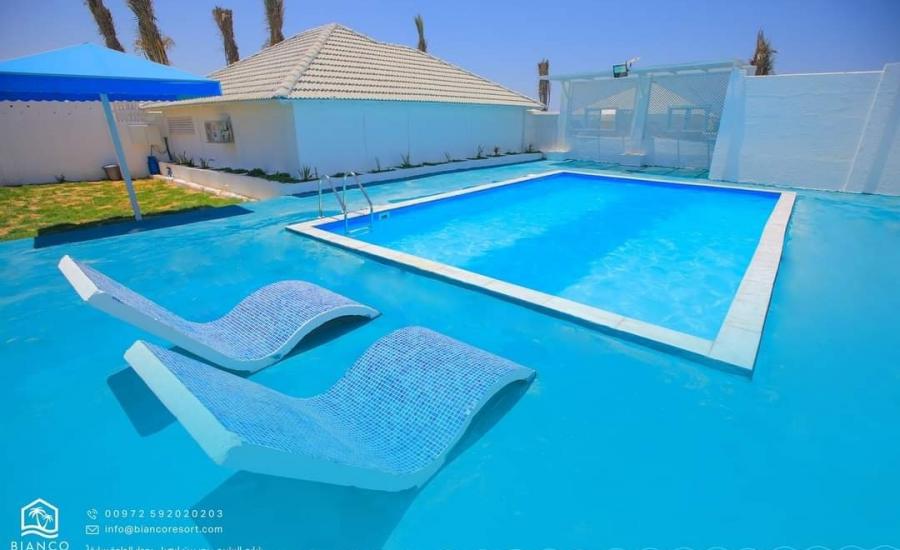 فيديو خادش للحياة في قطاع غزة