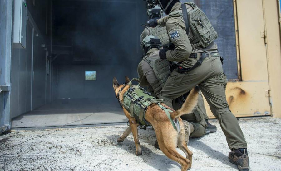 الجيش الاسرائيلي والكلاب البوليسية