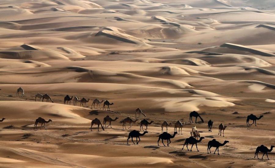 صحراء ابو ظبي