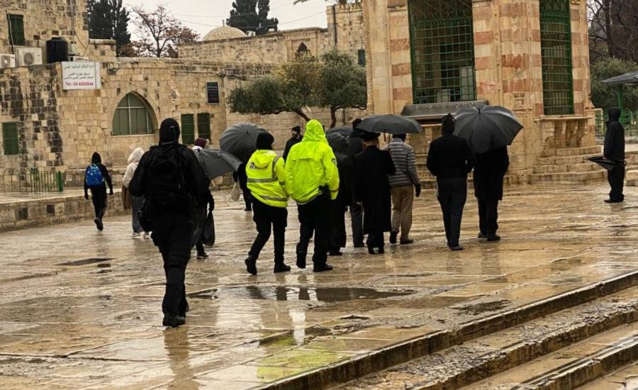 المستوطنين في المسجد الاقصى