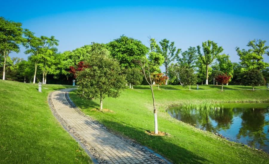 371039433_3275964996026904_3978642778833352235_n (1).jpg