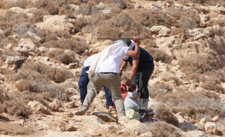 Settlers-volunteer-678x455.png