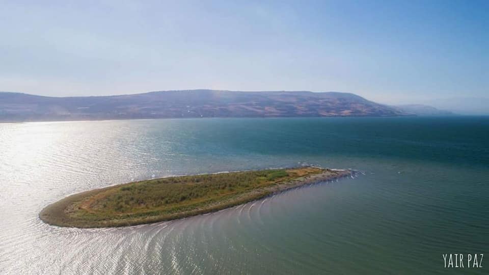 ظهور جزيرة في بحيرة طبريا 